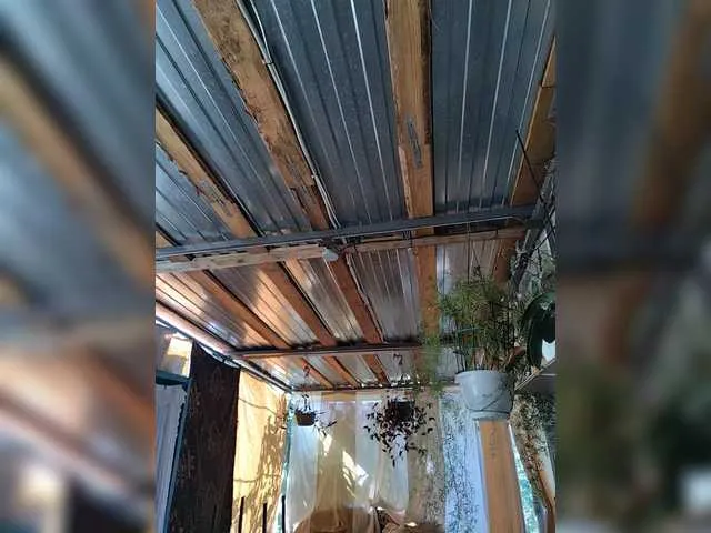 ElizabethChantal – webcam model profile photo Image 7