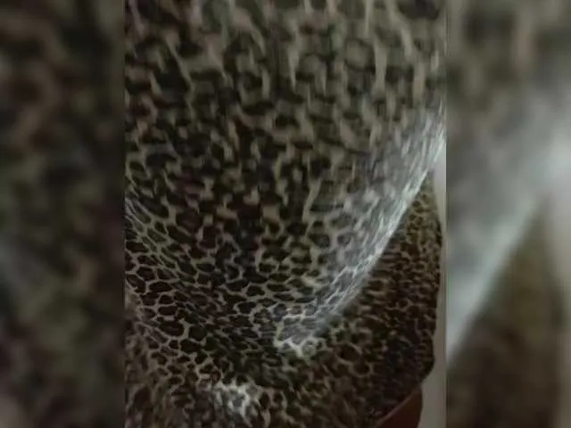 YasmienAtos – webcam model profile photo Image 18