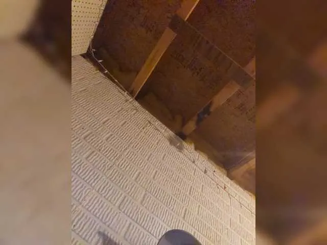 AyshaConnor – webcam model profile photo Image 11