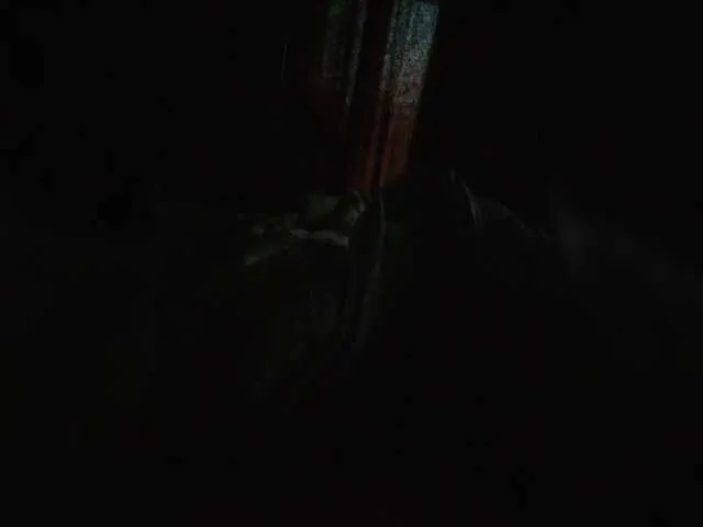 nide_xiaogou – webcam model profile photo Image 9