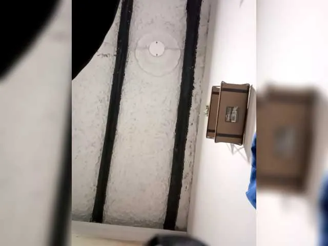 LT-333 – webcam model profile photo Image 11