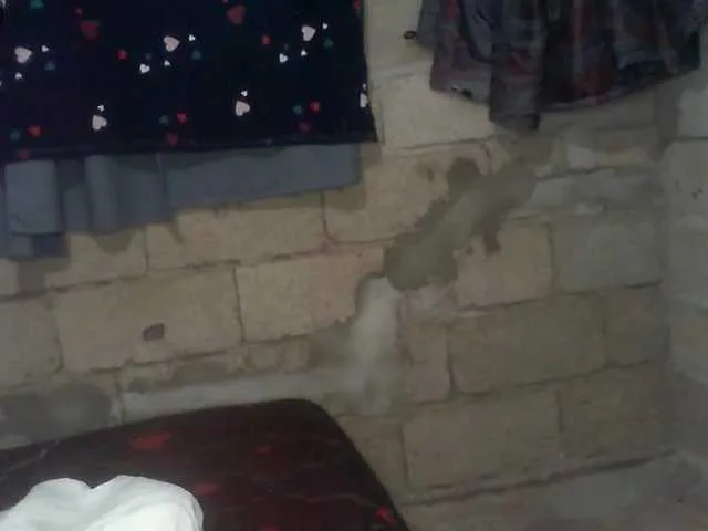 ErzabelLew – webcam model profile photo Image 3