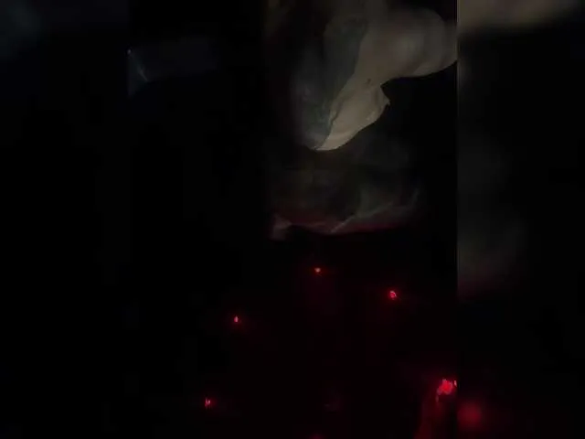 DaphneBecket – webcam model profile photo Image 7