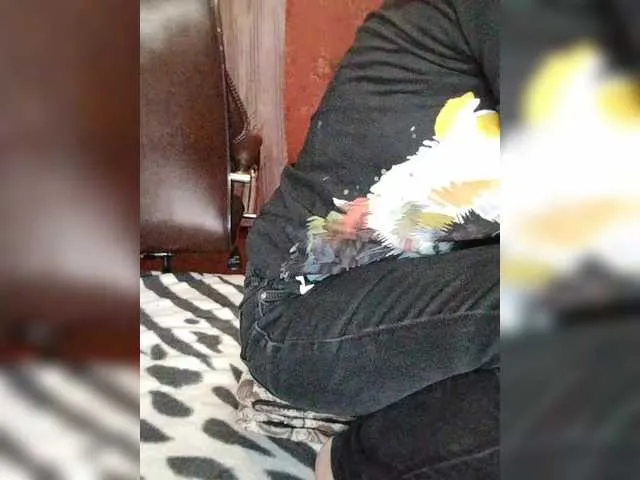 AishaHart – webcam model profile photo Image 12