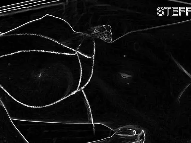 steffania Image 18