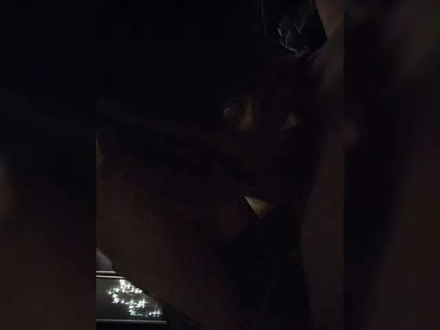 vivid_girls_vg – webcam model profile photo Image 2