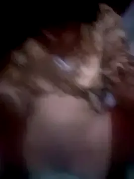 -Zomord Image 11
