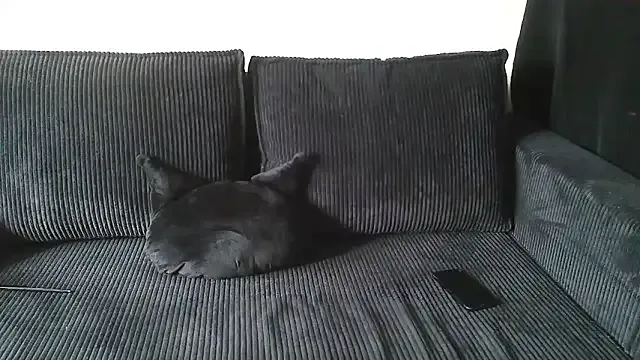 MiaKorz – webcam model profile photo Image 8