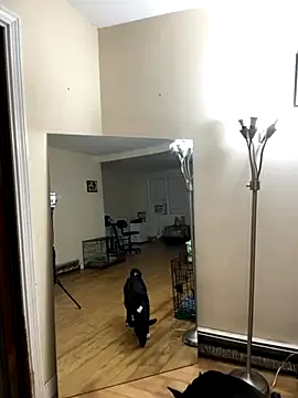 SherineNorth – webcam model profile photo Image 13