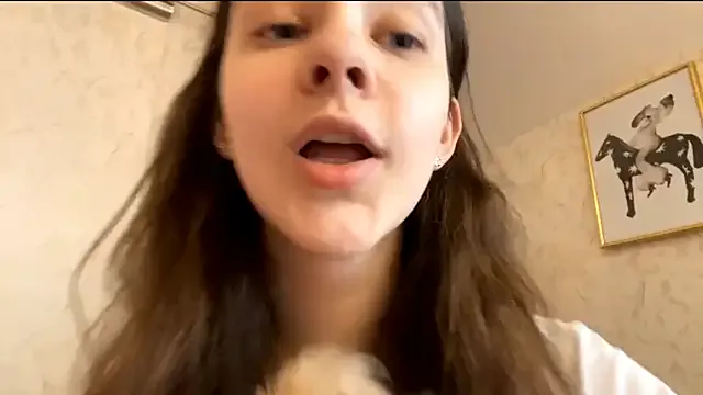 DanaCore Image 4