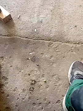 Anisyia – webcam model profile photo Image 8