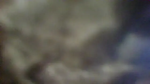 livepassion – webcam model profile photo Image 4