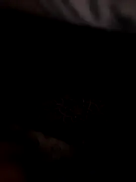 MadelineLane – webcam model profile photo Image 12