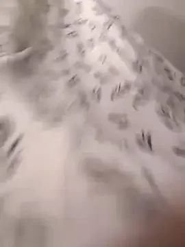 BeatriceVazqueze – webcam model profile photo Image 16