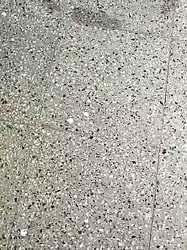Kannada_siri_143's Thumb Image