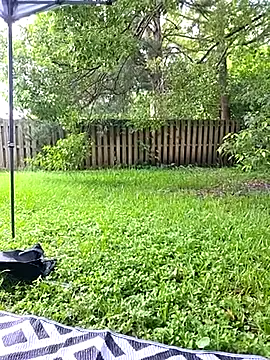 LilyFoxxx Image 19