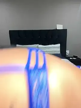 MimiCurves Image 13