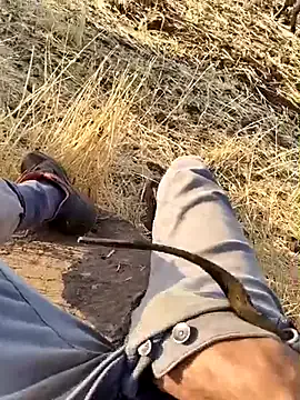 MiraKova – webcam model profile photo Image 11