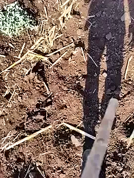 MiraKova – webcam model profile photo Image 4