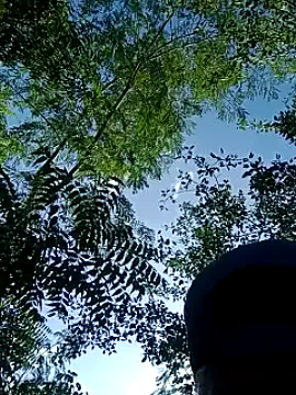 outdoors11 Image 18