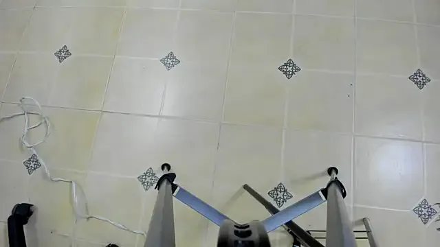 franksalise – webcam model profile photo Image 16