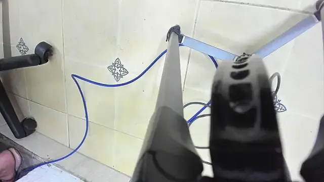 franksalise – webcam model profile photo Image 6