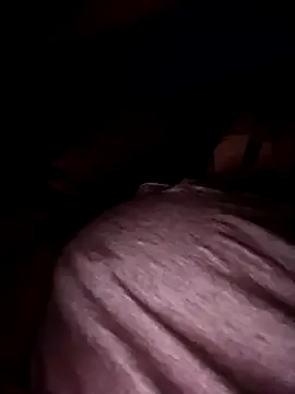 poussychats Image 2