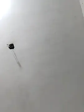 radhika2 – webcam model profile photo