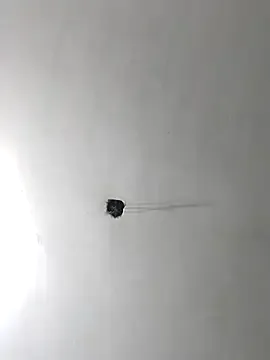 AndreaKalo – webcam model profile photo Image 10