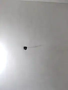 AndreaKalo – webcam model profile photo Image 13