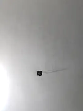 AndreaKalo – webcam model profile photo Image 14