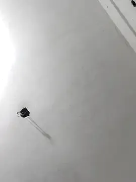 AndreaKalo – webcam model profile photo Image 2