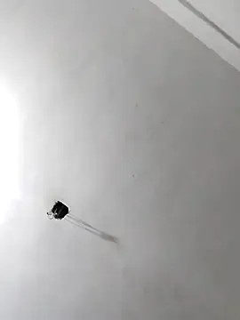 AndreaKalo – webcam model profile photo Image 6