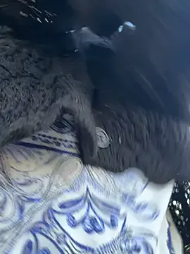 AliciaLisse – webcam model profile photo Image 17