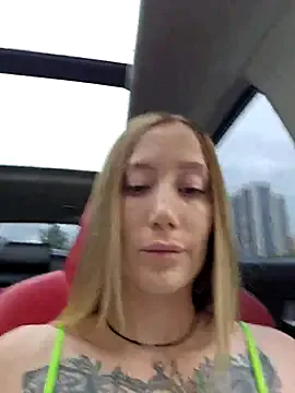 SvetLive Image 2