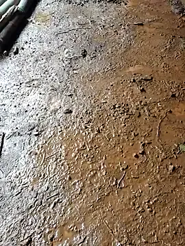 Ryo-sama – webcam model profile photo Image 2