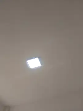 vixen_velvett1 – webcam model profile photo