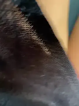 Wet-Pussycat Image 18