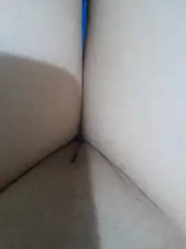 yakot7 Image 8